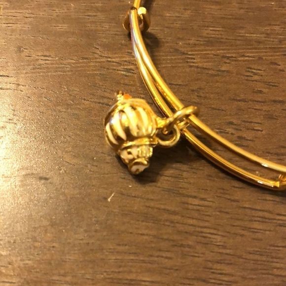 NWOT Alex and Ani Charity by Design Hermit Crab - Picture 6 of 7